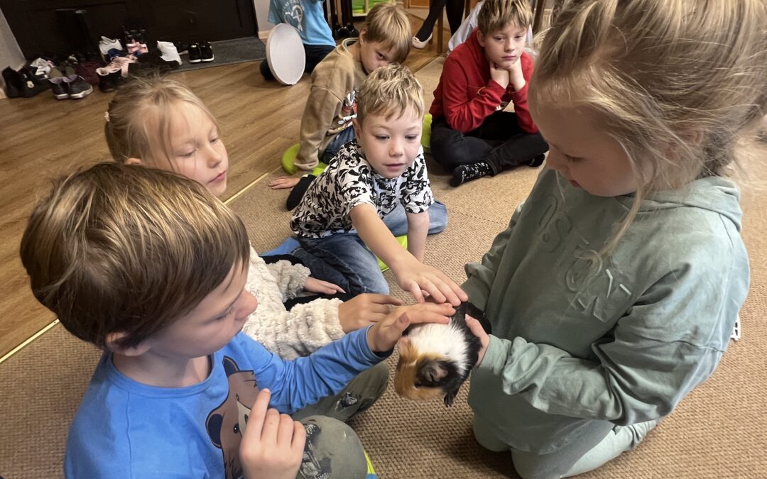 Lemmikud koolis kaasas